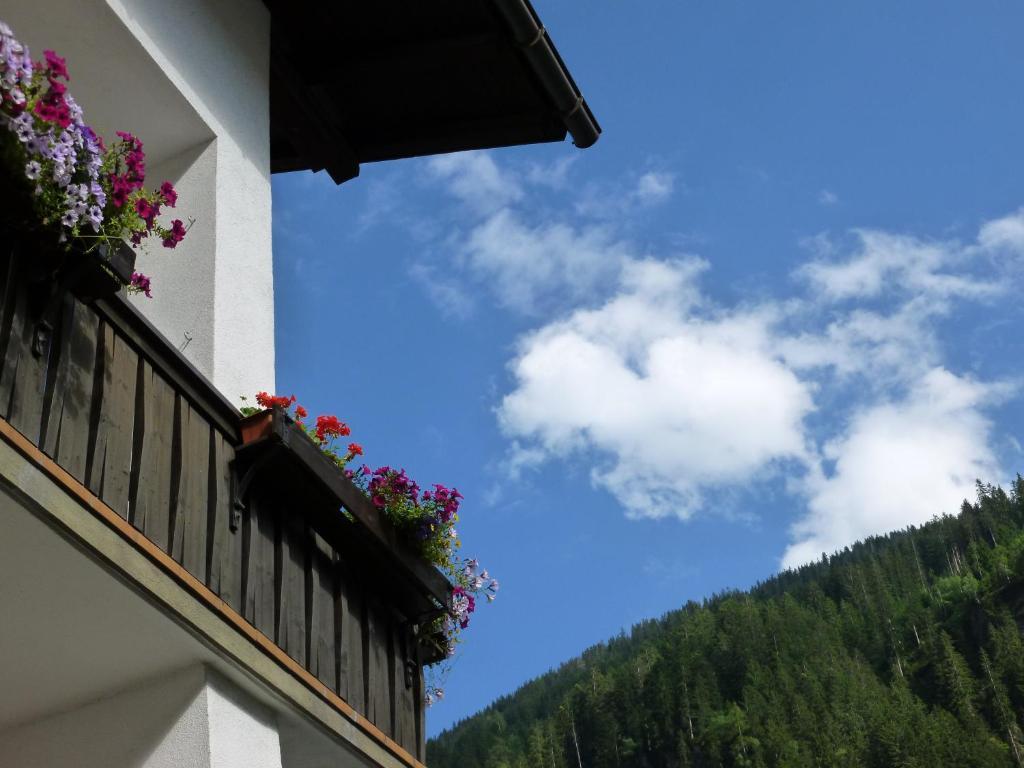 Haus Tyrol Apartment ซี ภายนอก รูปภาพ